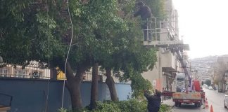 Park Bahçe Ekipleri Kent Genelinde Aralıksız Bir Şekilde Çalışıyor