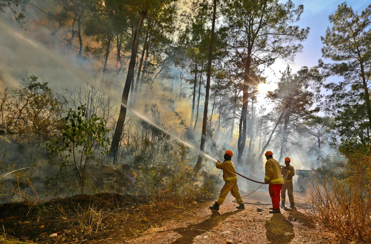 Ünlüler Orman Yangınları İçin Çağrıda Bulundu | İskenderun Gazetesi
