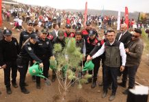 Milli Ağaçlandırma Günü’nde Hatay’da 36 Bin 550 Fidan Toprakla Buluştu