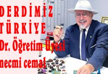 Vicdanlı Şehirler Üzerine