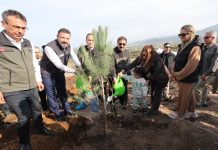 Arsuz’da Deprem Şehitleri Hatıra Ormanı’nda 5 Bin Fidan Toprakla Buluştu