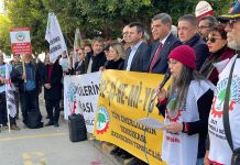 “Dünya Duydu, İktidar Duymadı”