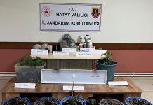 Jandarmadan Uyuşturucu Serasına Baskın