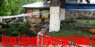 Ağacın Altına Sığınan 3 Öğrenciye Yıldırım Çarptı
