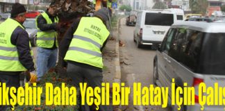 Büyükşehir Daha Yeşil Bir Hatay İçin Çalışıyor