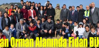 Yanan Orman Alanında Fidan Dikimi