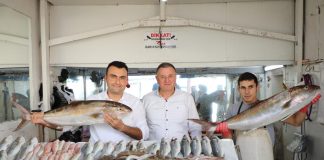 Hataylı Balıkçılar Dertli; “Akaryakıt ve Malzeme Fiyatları Artışı Kazancımızı Eritiyor”