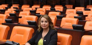 Kara; “Akkuyu’nun Her Açıdan Gözden Geçirilmesi Gerekiyor”