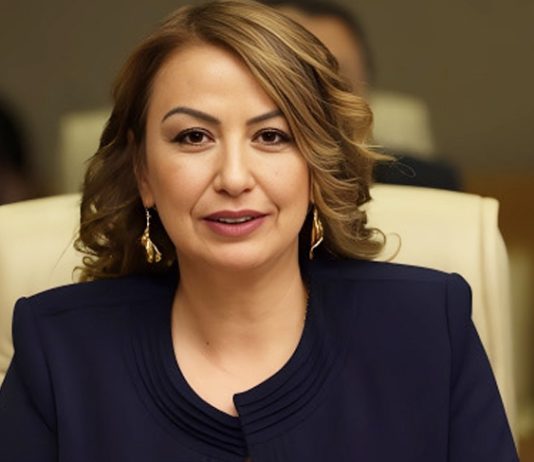 Kara; “Reyhanlı Barajı’ndaki Sızıntı Afete Dönüşmeden Önlem Alınmalı”