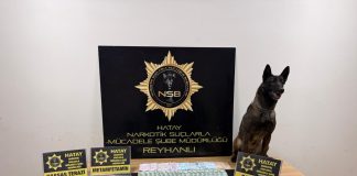 Reyhanlı ve Kumlu İlçelerinde Uyuşturucu Operasyonu!