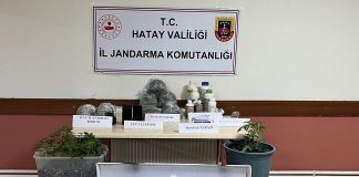 Jandarmadan Uyuşturucu Serasına Baskın