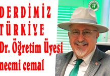 1-Sevgi Tesadüf Değildir… 2-İki Kalem, İki Kelam
