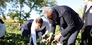 Yayladağı’nda Çilek Festivali!