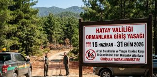 Hatay’da Ormanlara Girişler 31 Ekim’e Kadar Yasaklandı
