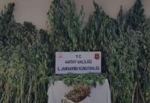 Jandarma’dan Samandağ’da Zehir Tacirlerine Darbe
