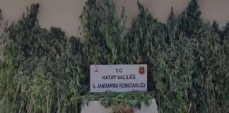 Jandarma’dan Samandağ’da Zehir Tacirlerine Darbe