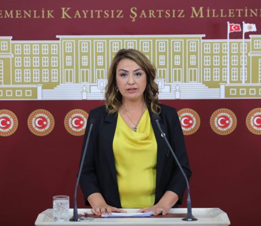 Kara; “Çocukları Suçtan Korumanın Yolu Sadece Cezaları Artırmak Değil”