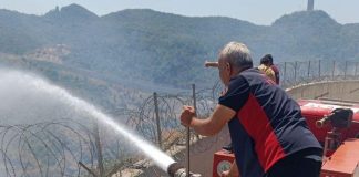 Yayladağı’nda Suriye Sınırından Gelen Orman Yangını Kontrol Altına Alındı