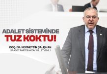 Çalışkan; “Şiddeti, Cezasızlık Algısı ve Liyakatsizlik Tırmandırıyor”