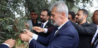 Altınözü Zeytin, Zeytinyağı ve Gastronomi Festivalinin 10’uncusu Başladı